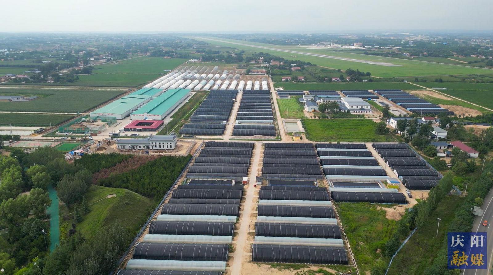 【攝影報道】小木耳種出“大產業”